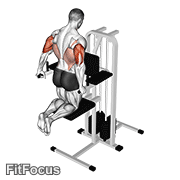 Assisted Triceps Dip (kneeling) exercise GIF demonstration