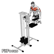 Assisted Wide-grip Chest Dip (kneeling)