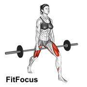 Barbell Split Squat V. 2