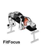 Dumbbell One Arm Decline Chest Press