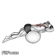 Back Extension On Exercise Ball GIF