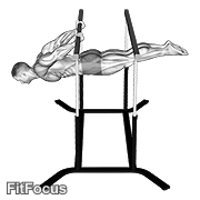 Back Lever (back machine) GIF — animated back exercise demonstration