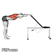 Back Pec Stretch GIF — animated back exercise demonstration