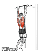 Band Assisted Pull-up GIF