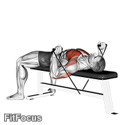 Band Bench Press GIF
