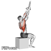 Band Fixed Back Close Grip Pulldown GIF