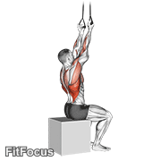 Band Fixed Back Underhand Pulldown GIF