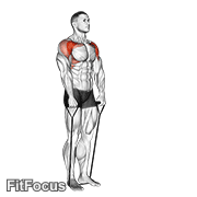 Band Front Raise GIF — animated shoulders exercise demonstration