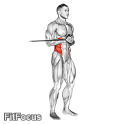 Band Horizontal Pallof Press exercise GIF demonstration