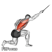 Band Kneeling One Arm Pulldown GIF