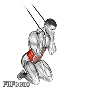 Band Kneeling Twisting Crunch GIF