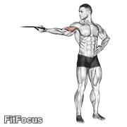 Band One Arm Overhead Biceps Curl GIF