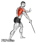 Band One Arm Standing Low Row exercise GIF demonstration