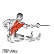 Band One Arm Twisting Seated Row GIF