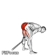 Band Pull Through GIF — animated legs exercise demonstration