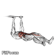 Band Push Sit-up GIF
