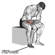 Band Reverse Wrist Curl GIF
