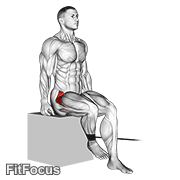 Band Seated Hip Internal Rotation GIF