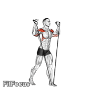 Band Shoulder Press GIF
