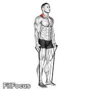 Band Shrug GIF — animated shoulders exercise demonstration