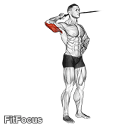 Band Side Triceps Extension GIF