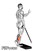 Band Single Leg Calf Raise GIF