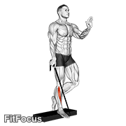 Band Single Leg Reverse Calf Raise GIF