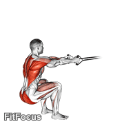 Band Squat Row GIF