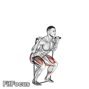 Band Squat GIF — animated legs exercise demonstration