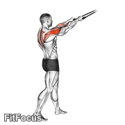 Band Standing Rear Delt Row exercise GIF demonstration