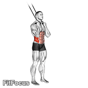 Band Standing Twisting Crunch GIF