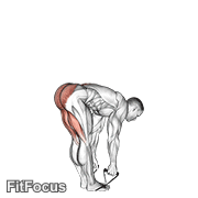 Band Straight Leg Deadlift GIF