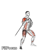 Band Twisting Overhead Press GIF