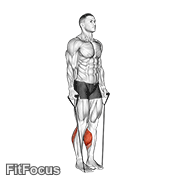 Band Two Legs Calf Raise - (band Under Both Legs) V. 2 GIF