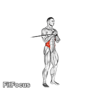 Band Vertical Pallof Press GIF