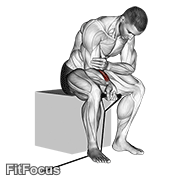 Band Wrist Curl GIF
