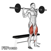 Barbell Bench Squat GIF