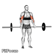 Barbell Biceps Curl (with Arm Blaster) GIF