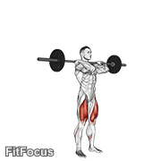 Barbell Clean-grip Front Squat GIF
