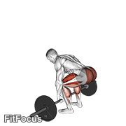 Barbell Deadlift animated form demonstration