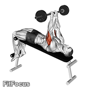 Barbell Decline Close Grip To Skull Press GIF