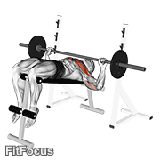 Barbell Decline Wide-grip Press GIF