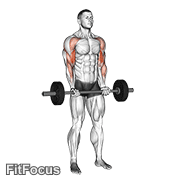 Barbell Drag Curl GIF — animated arms exercise demonstration