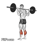 Barbell Floor Calf Raise GIF — animated legs exercise demonstration