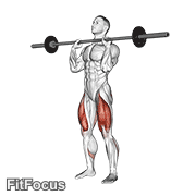 Barbell Front Chest Squat GIF