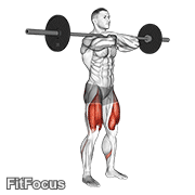 Barbell Front Squat GIF — animated legs exercise demonstration