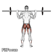 Barbell Full Squat (back POV) GIF — animated legs exercise demonstration