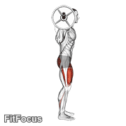 Barbell Full Squat (side POV) GIF