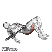 Barbell Glute Bridge GIF