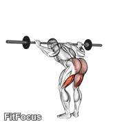 Barbell Good Morning GIF